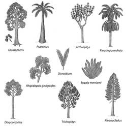Permian Plants