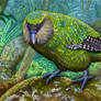 Kakapo