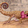Toad Headed Agama