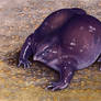 Purple Frog