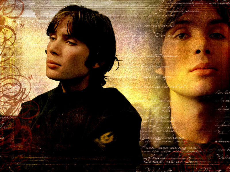 Cillian Murphy wallpaper