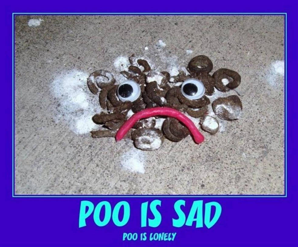 POO IS SAD by burnybratt on DeviantArt
