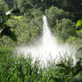 Fountain Frenzy