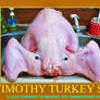 Timothy Turkey