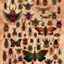 Love Bugs