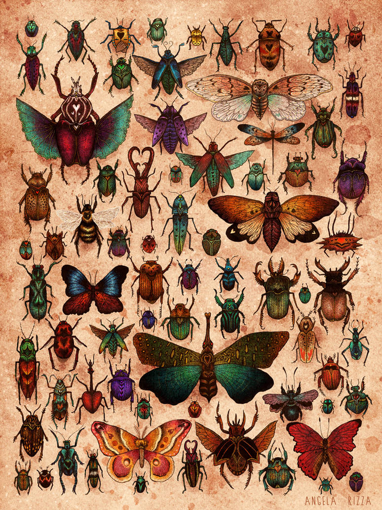 Deviantart Insect Love Love Bugs by AngelaRizza on DeviantArt