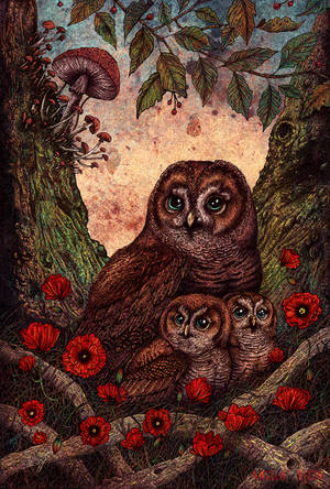 Tawny Owlets by AngelaRizza