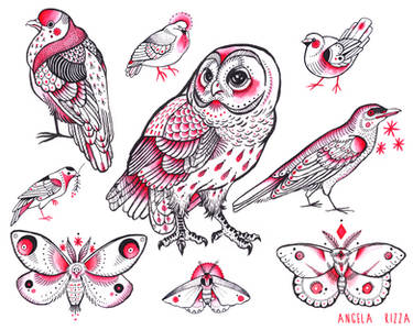 Flight Flash Sheet