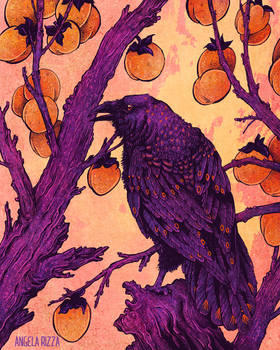 Raven and Persimmons