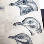 Bird Heads Tattoo