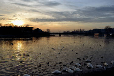 Down by the riverside