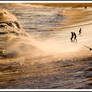 Evening Sunlite and Surf