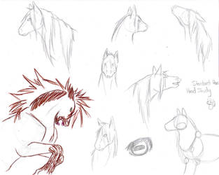 Horse Study Sketches