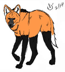 Maned wolf