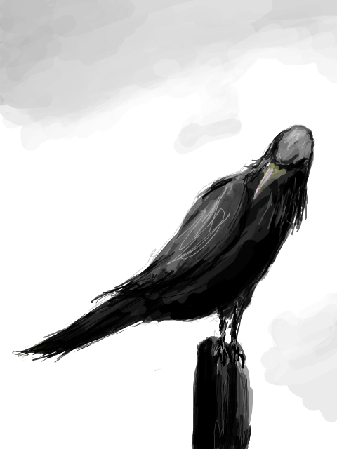 crow