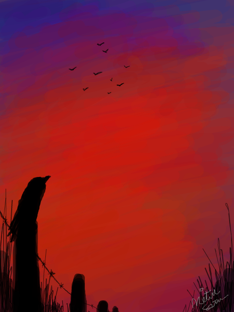 crow sunset