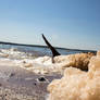 Beach Foam