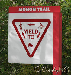 MononTrail-01