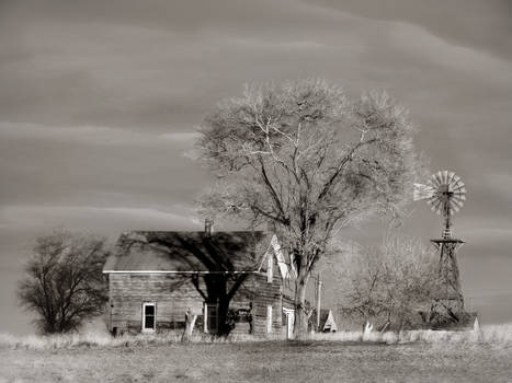 Shadows of the Family Tree