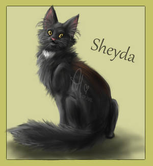 My Sheyda by Fruciakowa