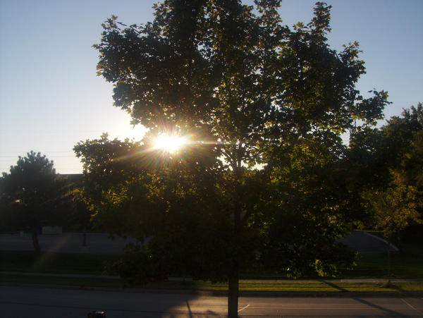 Photography Rough by Jev-90 on DeviantArt