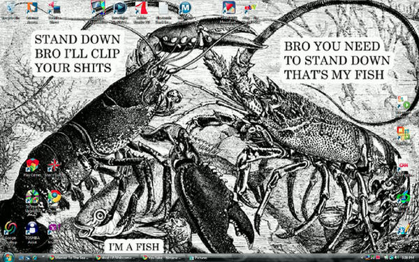 BRAND SPANKIN' NEW WALLPAPER