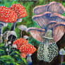 Mushrooms painting