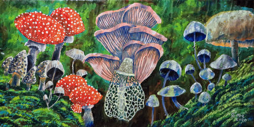 Mushrooms painting