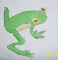 Frog Drawing-Painting