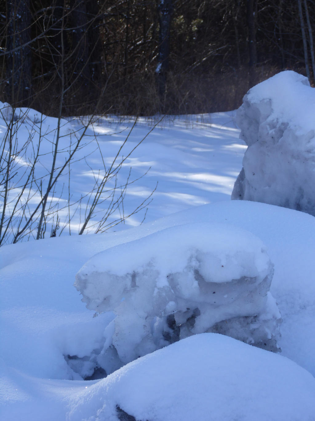 Winter Hobbit Houses 2