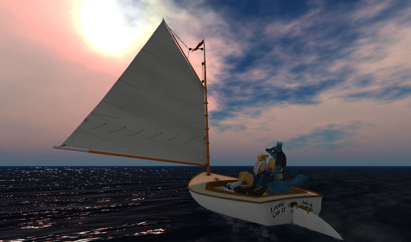 Little cat sailing