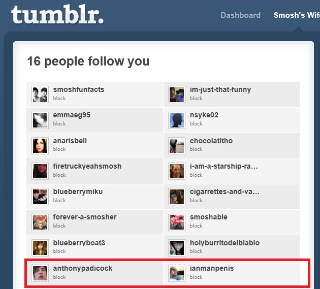 Smosh Followed Me (ROLEPLAY BLOGS)