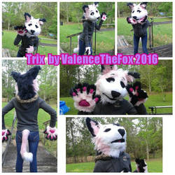 Trix the cat fursuit partial 