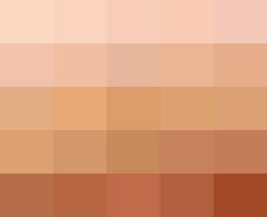 Skin Palette