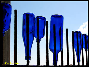 blue bottle 2