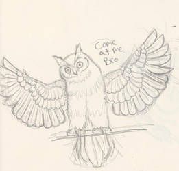 Day 23- Moar old owl