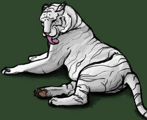 White Tiger