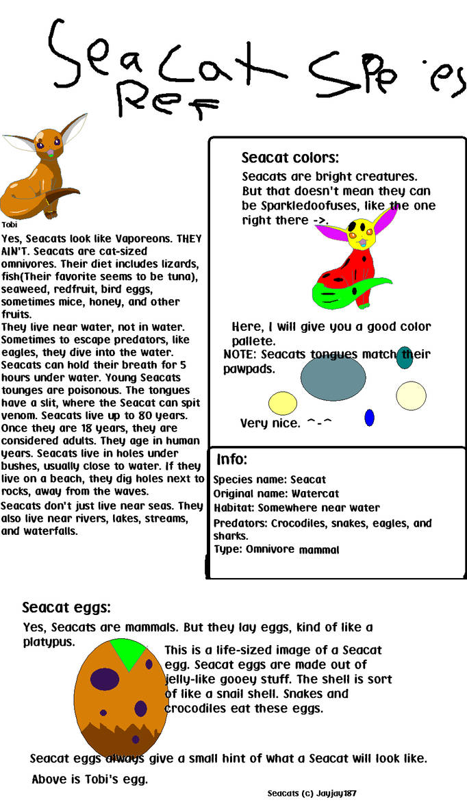 Seacat Species Reference Sheet by brindlecatt on DeviantArt