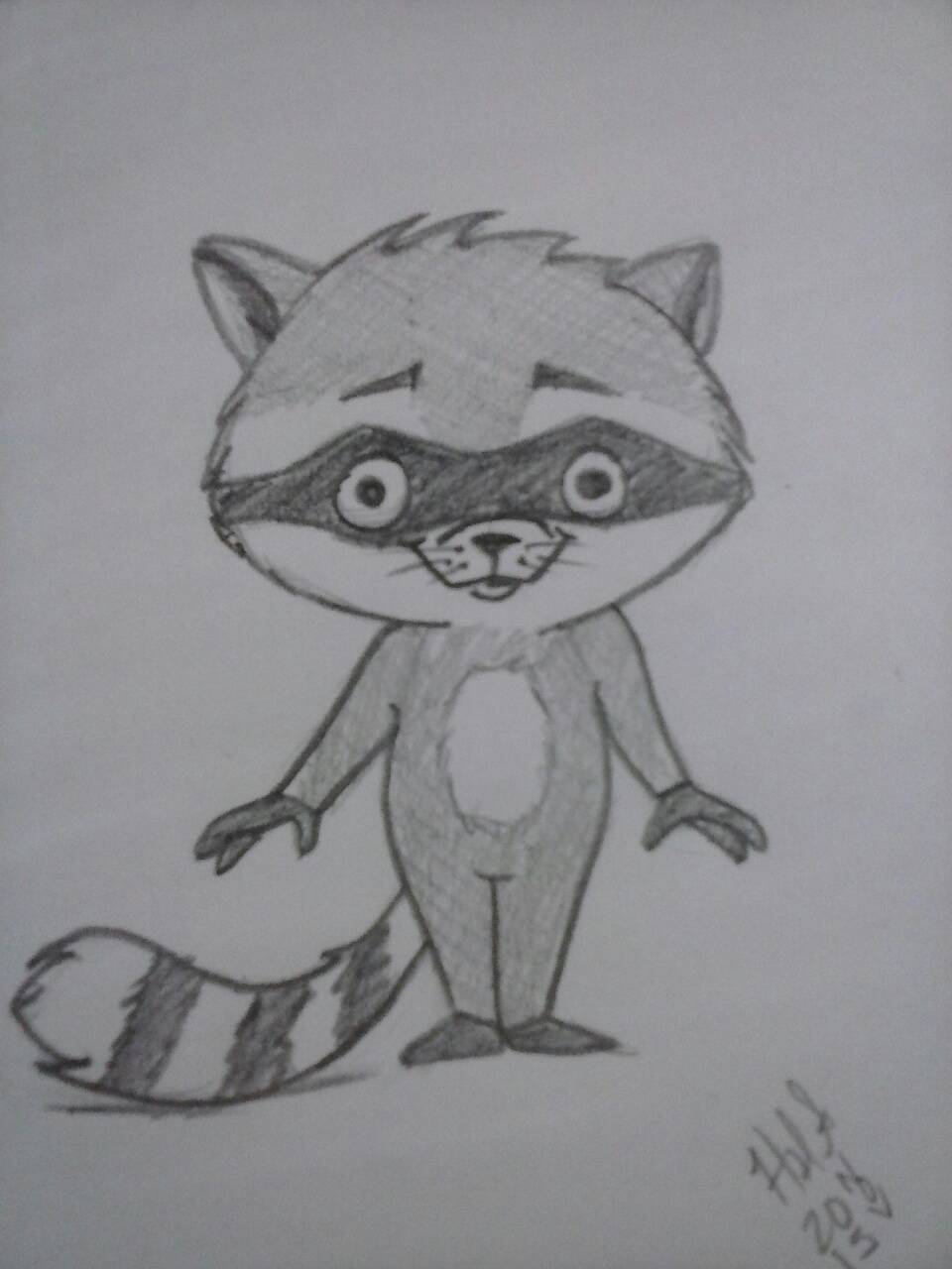 cartoon raccoon