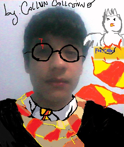 Harry Potter fan