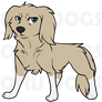 DOG ADOPT - 6 (CLOSED)