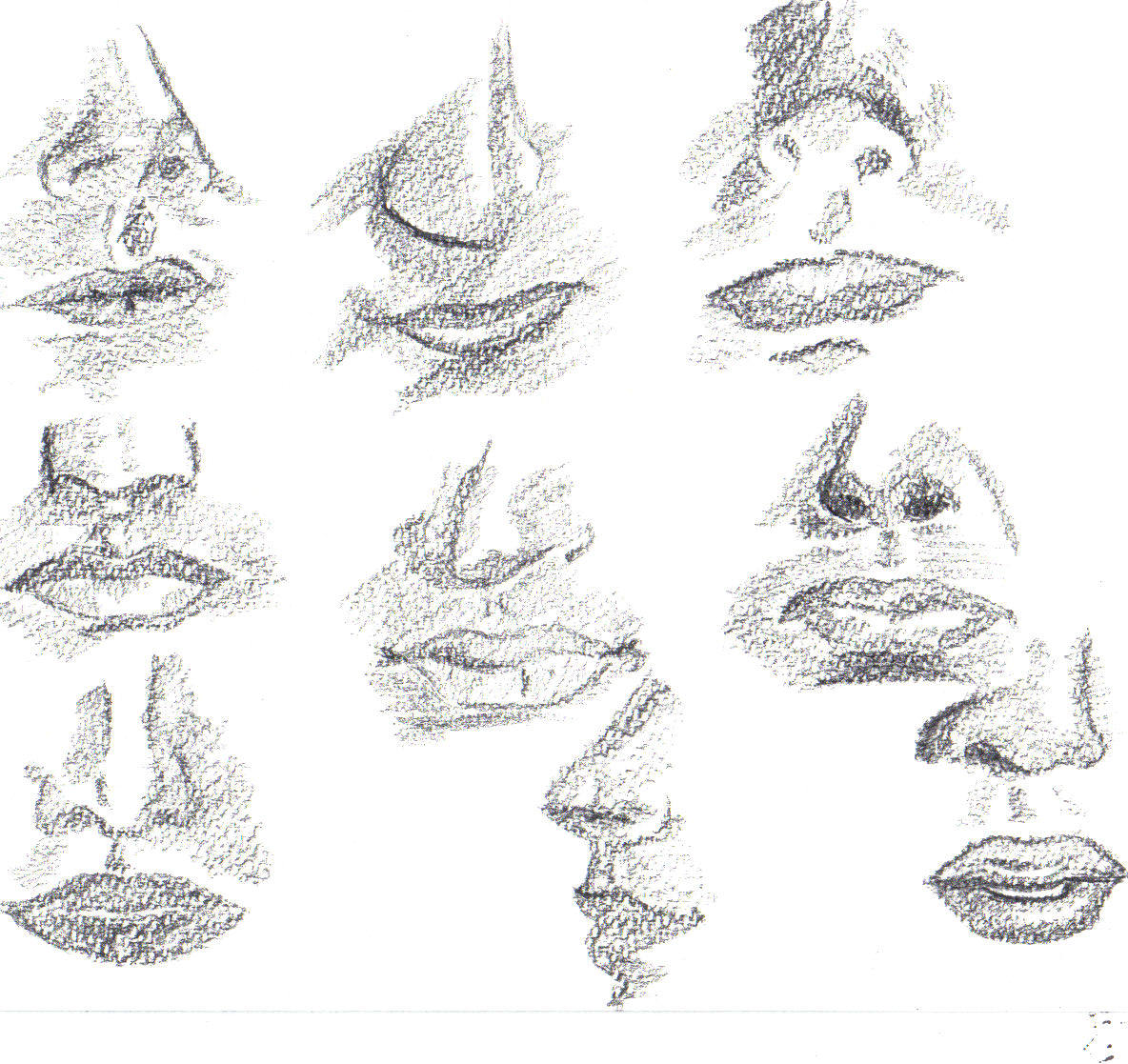 noses and mouths