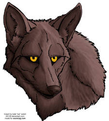 Coyote Face Free Lineart