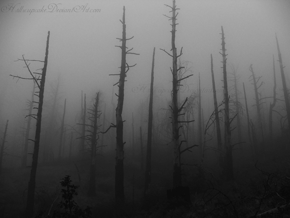 Creepy trees