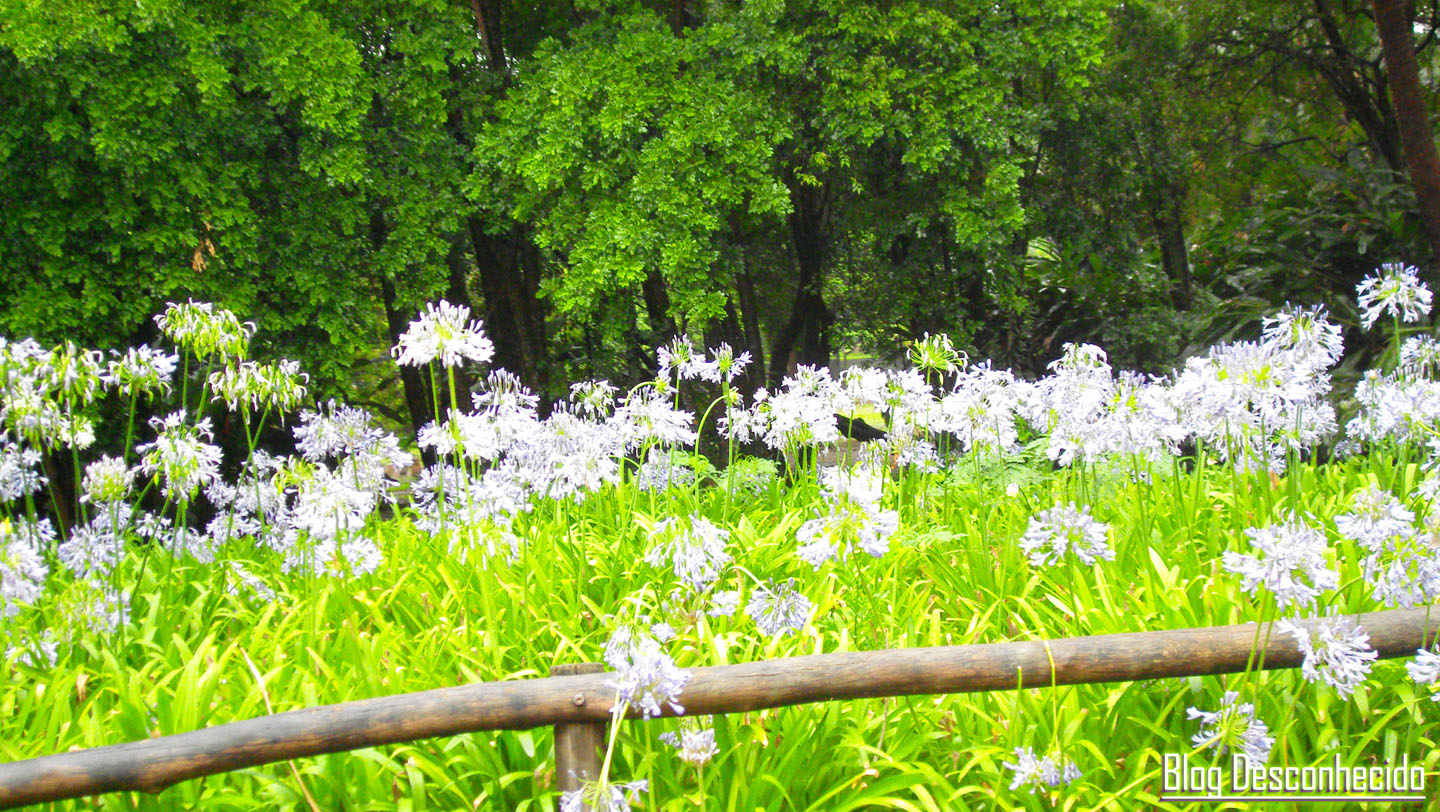 Flowers and trees - 15430