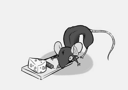 Better Mouse Trap by PueyMcCleary on DeviantArt