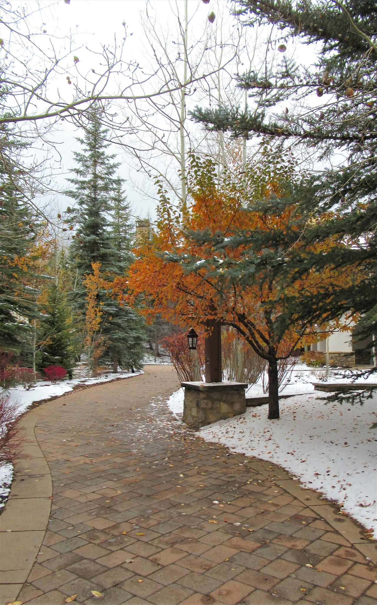 Random scene from Vail by Bounddreams on DeviantArt