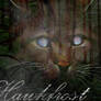 Hawkfrost - Dark Forest