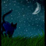 Where U Running Crowfeather