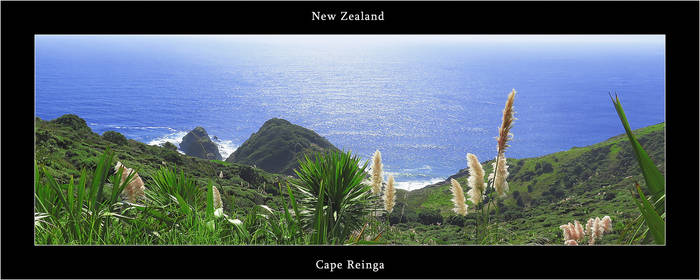 Cape Reinga -New Zealand 